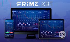 Exploring the Dynamics of Trading on PrimeXBT